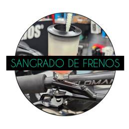 Sangrado de Frenos